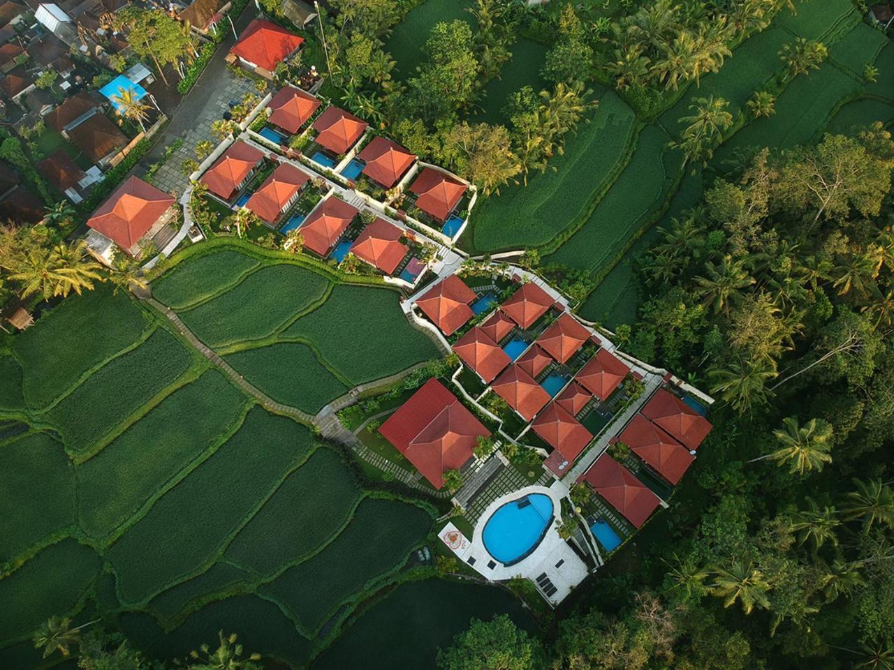 Vrindavan Ubud Villa Tegallalang  Exterior foto